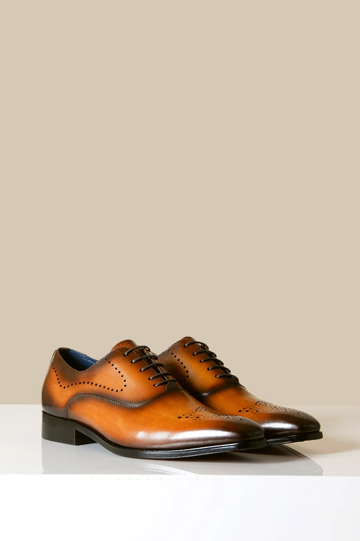 JAKE - Tan Leather Contrast Oxford Shoe