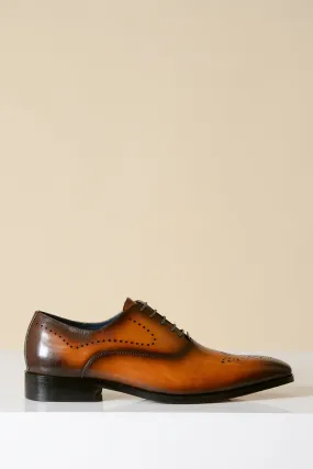 JAKE - Tan Leather Contrast Oxford Shoe