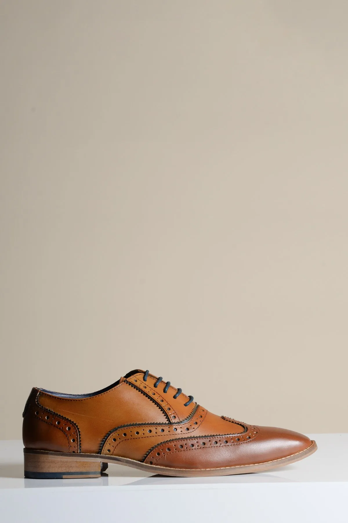 MARCO - Tan Navy Leather Wingtip Oxford Shoe